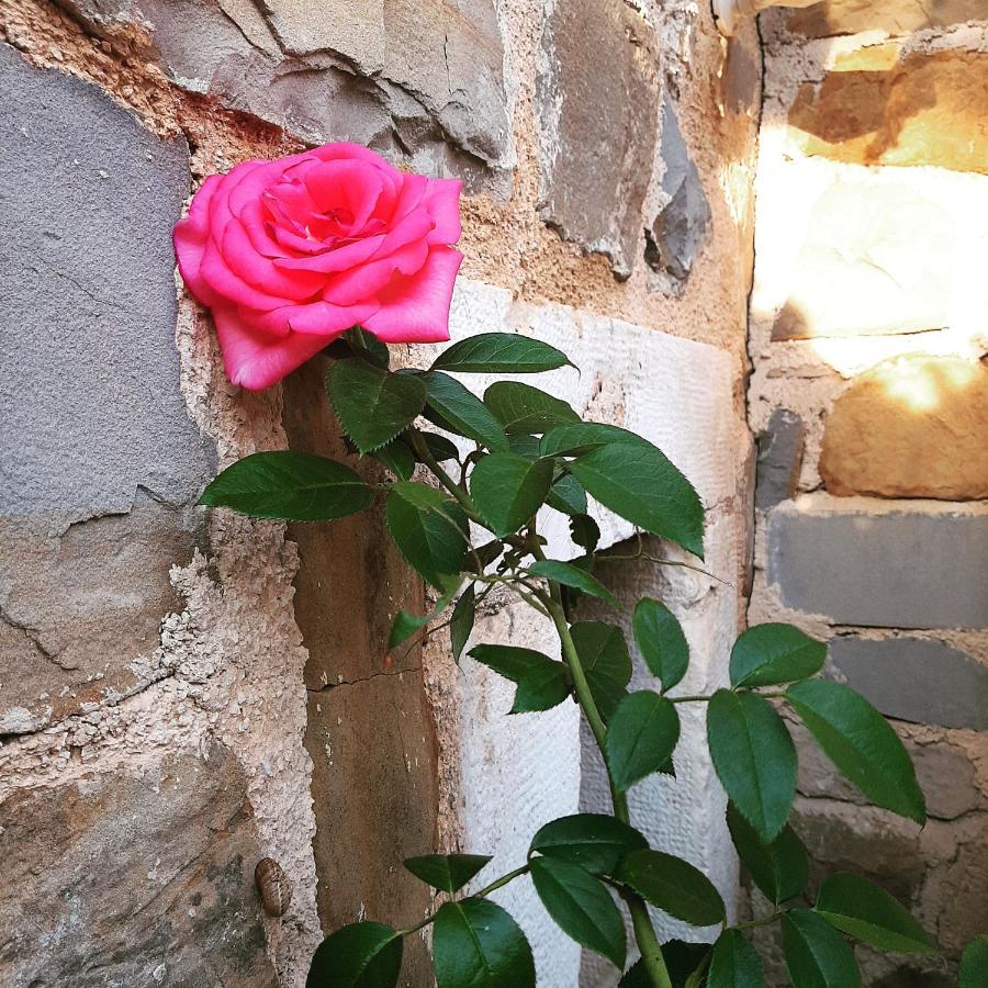 Red Rose Apartment Portoroz