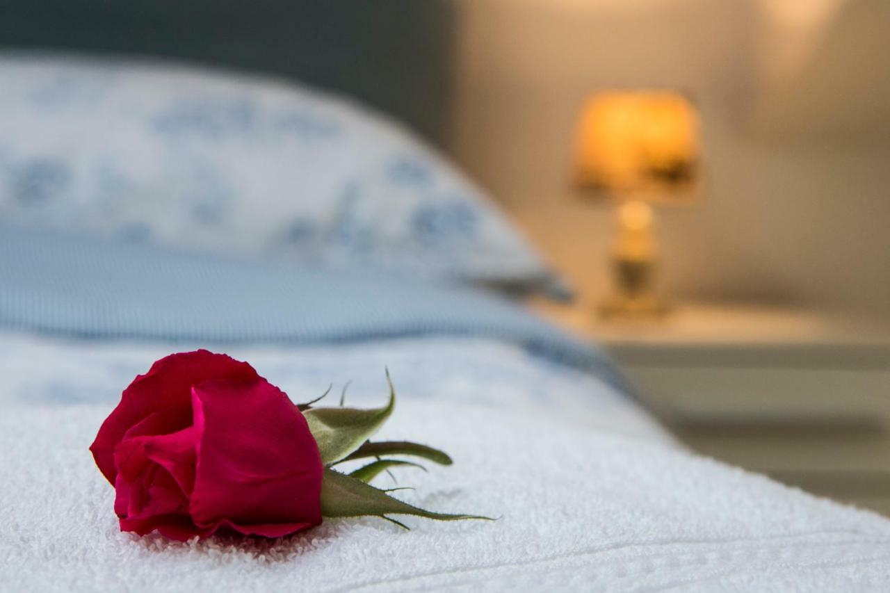 Red Rose * Portoroz